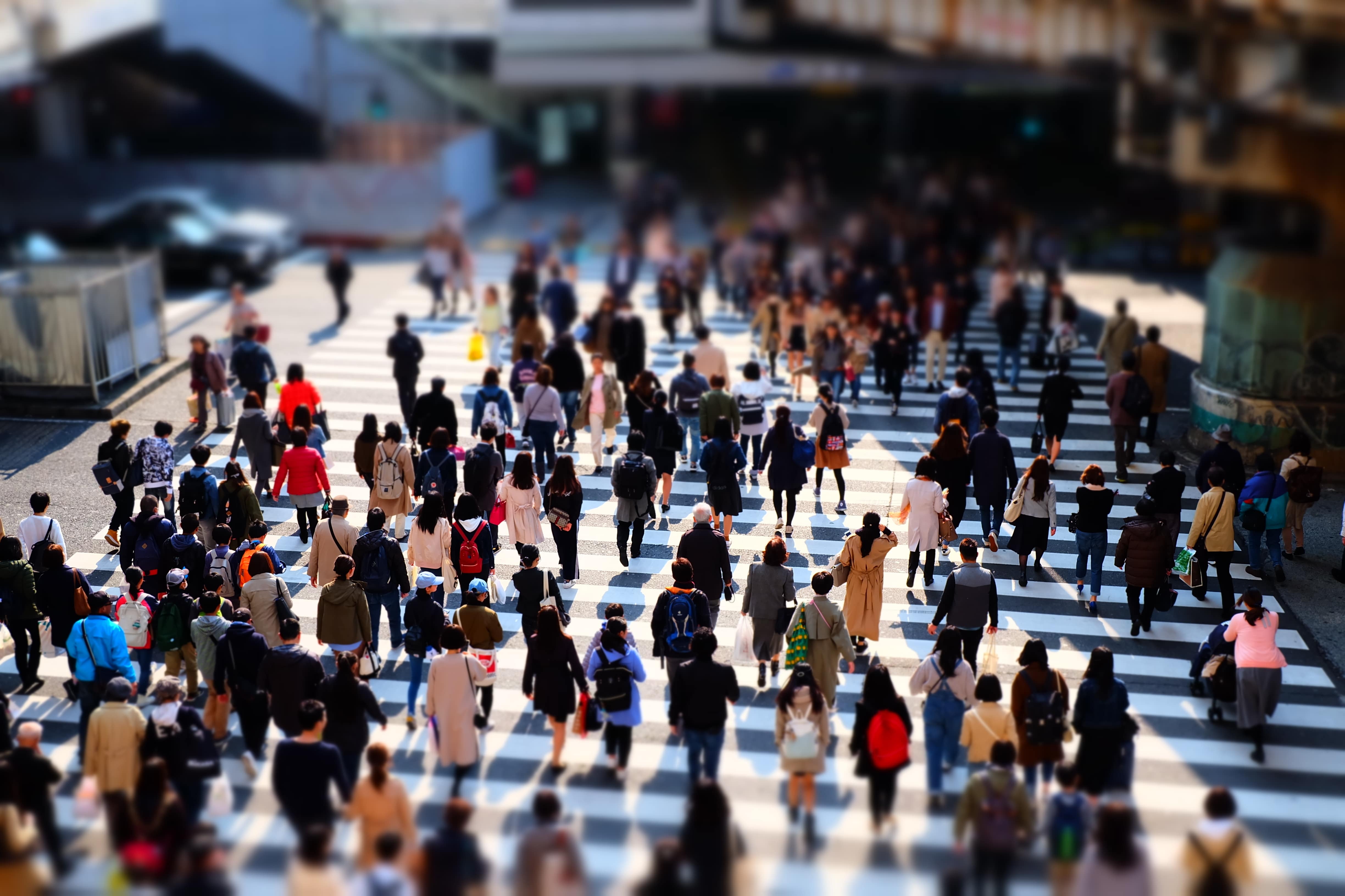 tokyo-market.jpg