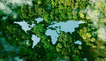 Sustainable Future